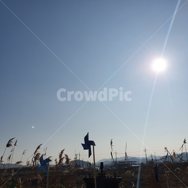 flare,플레어,light,빛,자연,nature,나무,tree,바람개비,pinwheel,하늘,sky