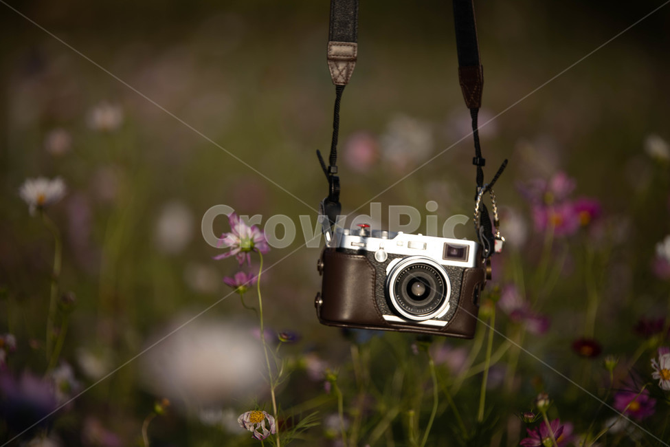 camera,카메라,electronics,전자제품,후지,디카,디지털,디지털카메라,스트랩,끈,strap,사진작가,포토그래퍼,photographer,사물,물건,오브젝트,thing,object,matter