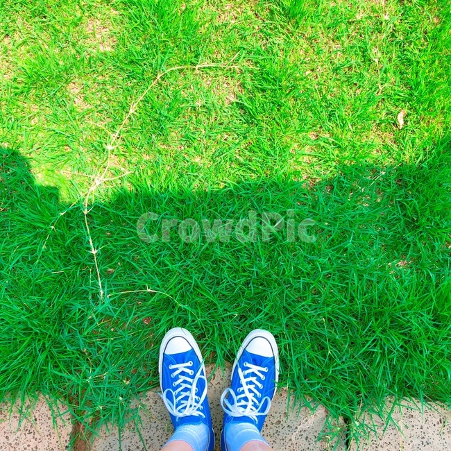 clothing,shoe,신발류,배경,감성