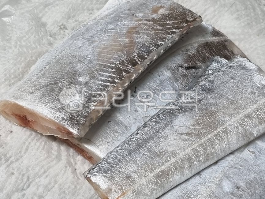 음식,food,갈치,생선,은갈치,생물갈치,식재료,요리재료,음식재료,foodstuff,cookingmaterial,foodmaterial,먹갈치,제주갈치,hairtail,cutlassfish,jejuhairtail,silverhairtail,fishes,수산물,marineproducts,제주은갈치,jejusilvergalchi,silvergrass,fish,chejusilverhairtail