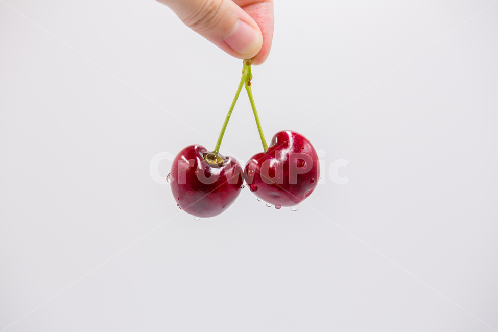 체리,과일,베리,열매,cherry,빨강색,red,디저트,음식,cook,foodreserves,fruit,컨셉,연출,누끼,과일,열매,fruit,누끼,remove background