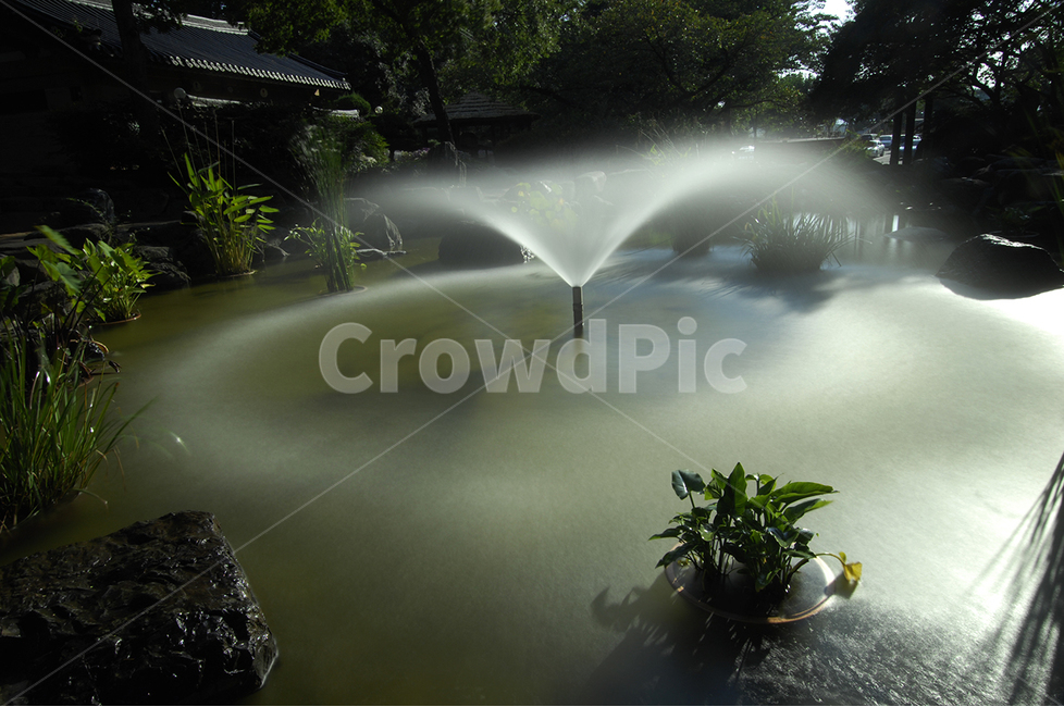 분수,물방울,연못,물,역광,자연,풍경,nature,landscape,water,fountain