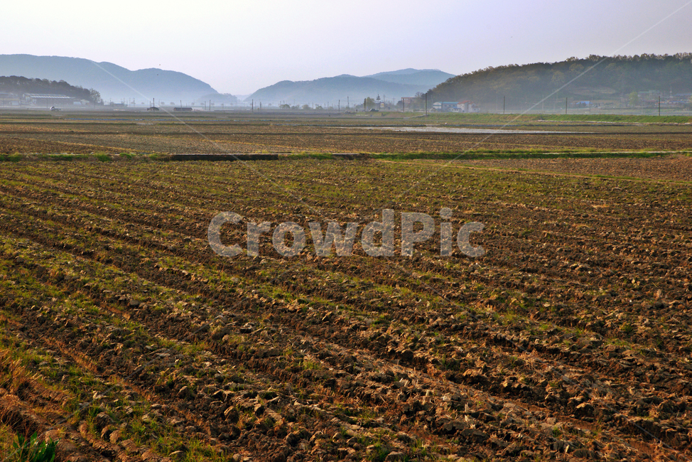 새벽,경작지,밭,농사,안개,산업,industry,industrial,농업,농사,agriculture,farming,farming industry