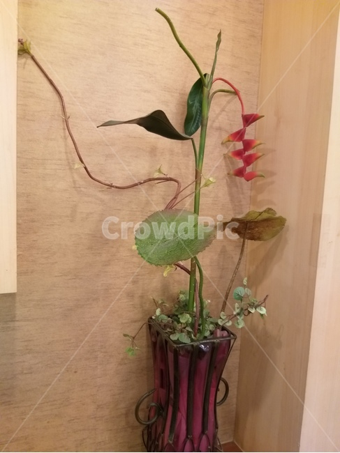 조화식물,실내인테리어,특이한화분,기이한식물,칙칙한분위기