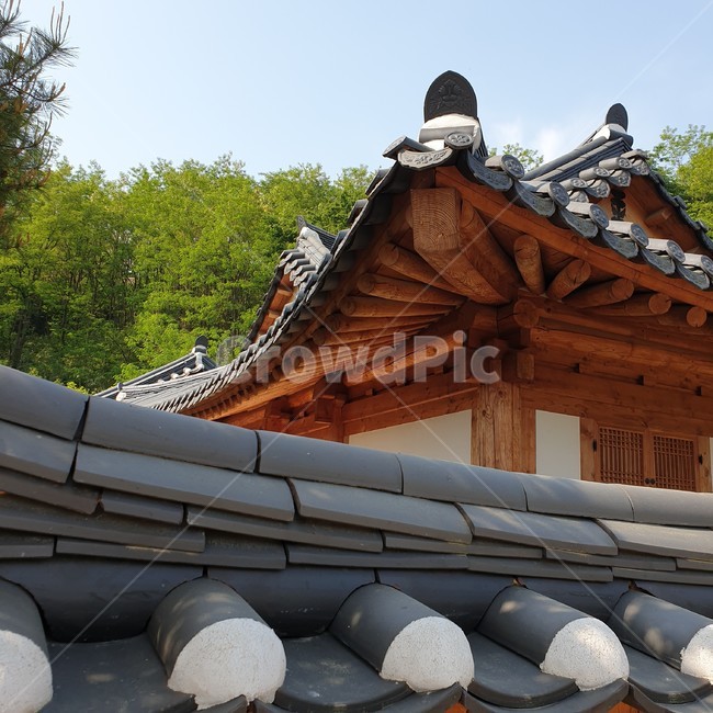 한옥,기와,전통,집,처마,한국전통,한국문화,korean traditional,korean culture,건축물,건물외관,exterior,building,structure,architecture,construction