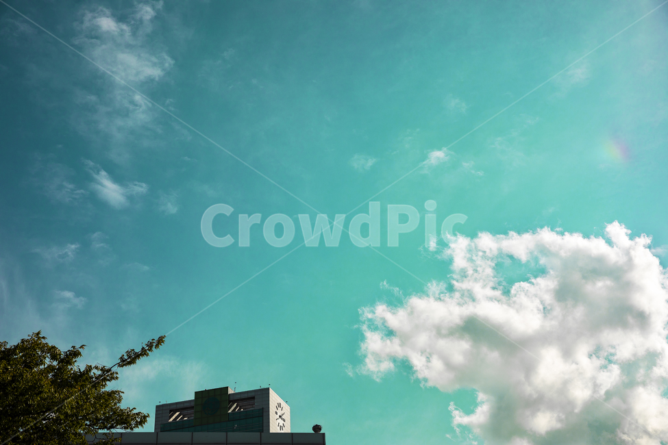 하늘,감성하늘,감성,색감,초록,연두,청록,구름,자연,풍경,nature,landscape,weather,날씨,outdoors,옥외,sky