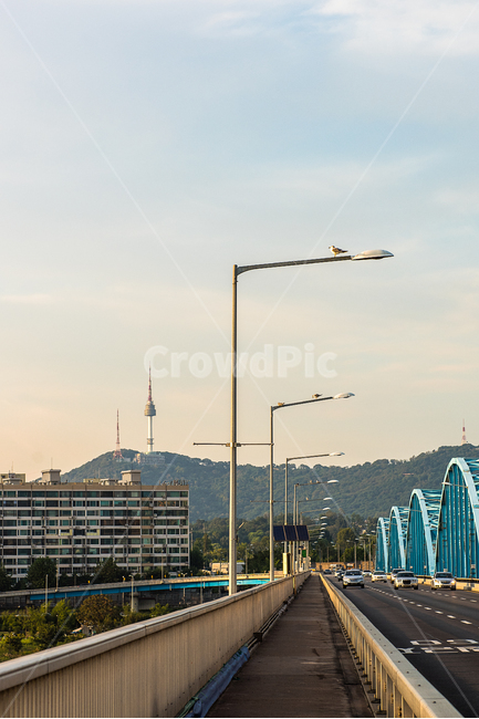 서울,남산,남산타워,서울타워,새,가로등,다리,아파트,풍경,전경,하늘,구름,seoul,산,mountain,bird,bridge,landscape,sky,cloud,도시,풍경,city,landscape,한국도시풍경,한국도시경관,korea cityscape,교통,교통수단,traffic,transportation,road,도로,freeway,고속 도로