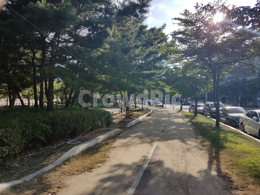구미,금오산,tree,나무,plant,식물,gumi,산책로,산책,힐링,화창함,맑음,여름,summer