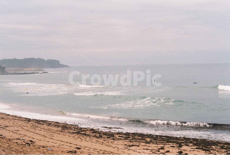바다,나무,파도,하늘,제주도,자연,풍경,nature,landscape,해변,바다,beach,sea,감성,sensible,feeling,outdoors,옥외,water,물,ocean,대양,promontory,곶,shoreline,해안선