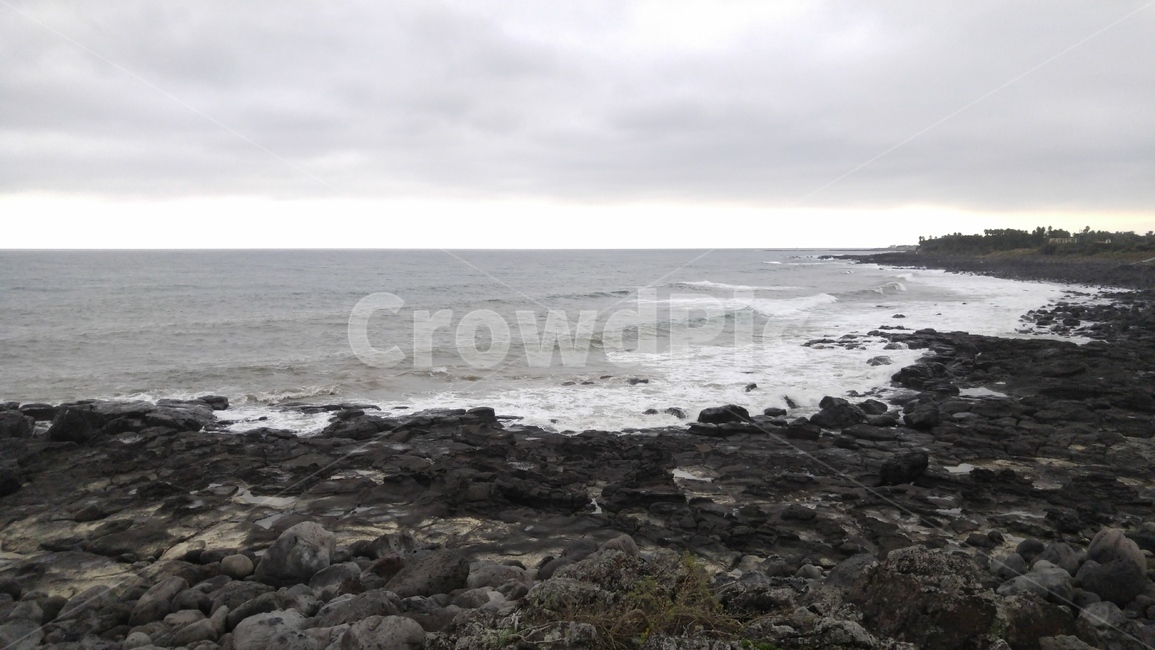 제주,제주도,해안,바다,바닷가,파도,풀,풀숲,grass,plant,잔디,식물,promontory,곶,자연,풍경,nature,landscape