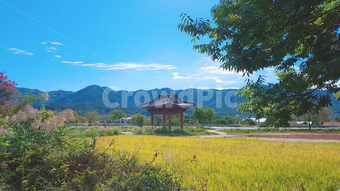하늘,산,한옥,풍경,경치,풀,한국,자연,풍경,nature,landscape,한국자연풍경,한국자연경관,korea nature landscape,outdoors,옥외,field,들