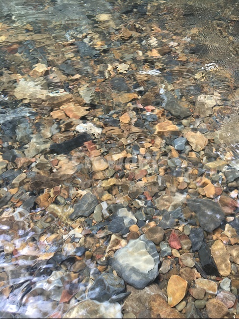 물,깨끗한물,물속,계곡,이쁜물,투명한,또랑,자연,풍경,nature,landscape