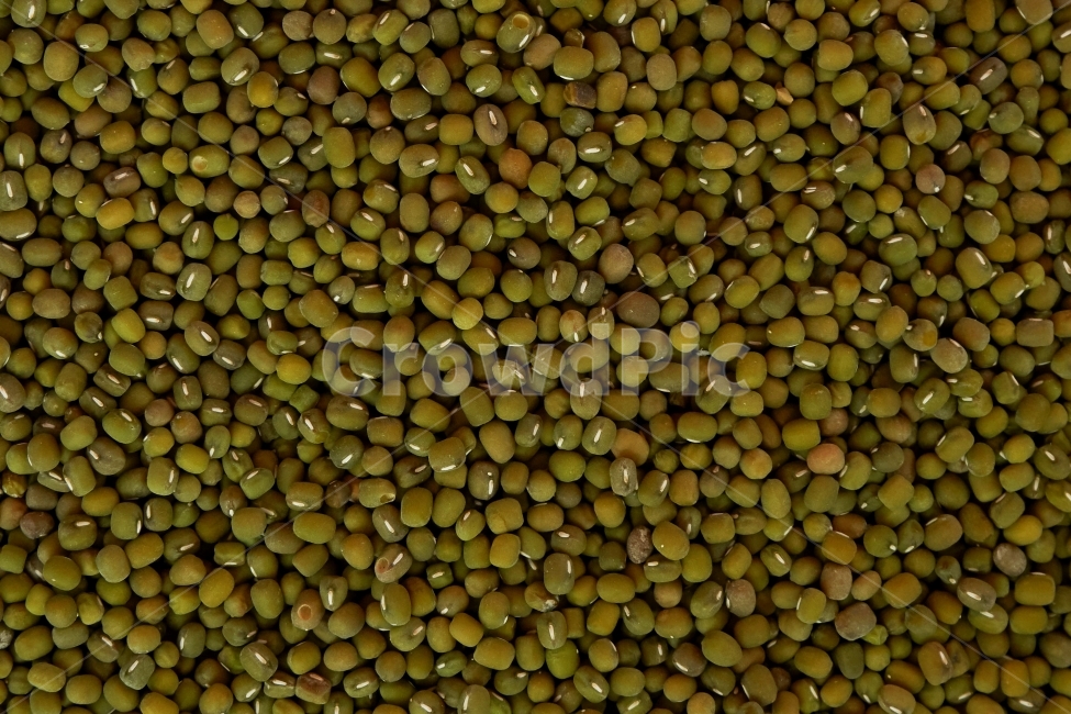녹두,콩,팥,곡물,잡곡,곡식,밥,음식,식재료,식품,crop,음식,식재료,요리,food,cook,meal,dishes,food reserves,콩류,견과류,beans,pulse,nuts,dry fruits