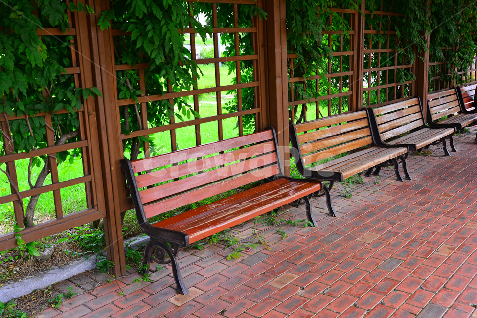 의자,빈의자,빈자리,힐링,쉼터,초원,전원,풀밭,healing,chair,생각,야외,낭만,배경,바탕,백그라운드,background,그늘,등나무,그린,초록