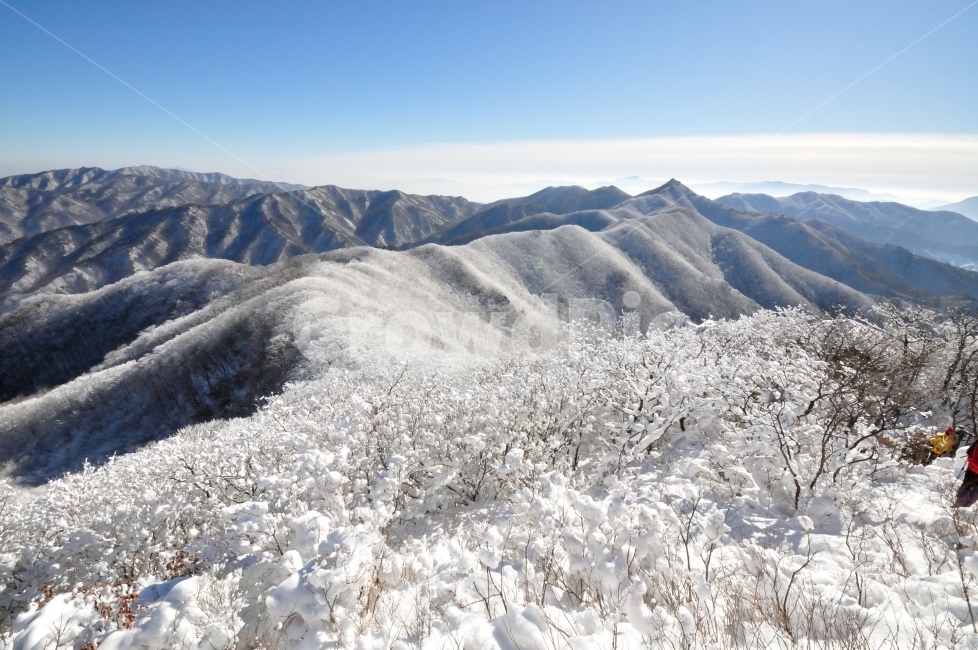 등산,눈꽃,산행,민주지산,상고대,명산,영동,영동군,눈꽃산행,겨울등산,산그리메,산봉우리,mountain,climbing,climb,겨울,계절,winter,season,자연,풍경,nature,landscape,outdoors,옥외,산,scenery,mountain range,산맥