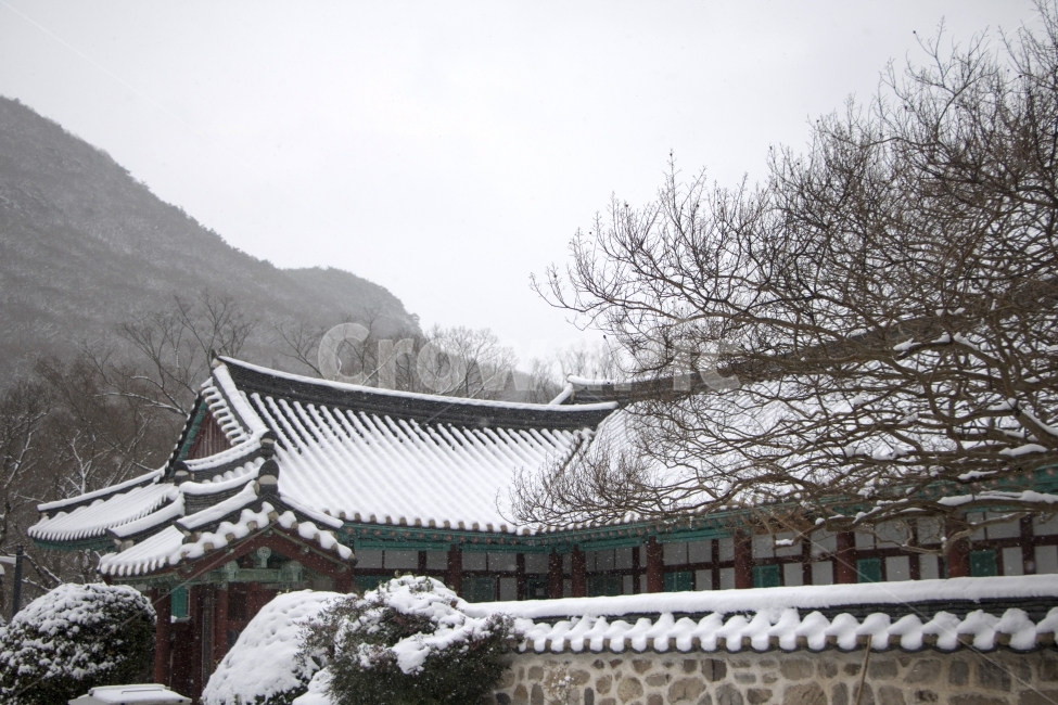 사진,단독사진,디자인,소스,포토,사진자료,배경,배경사진,백그라운드,한국,동양,아시아,접사,근접,자연,겨울,눈,얼음,경치,설경,Landscape,날씨,겨울배경,겨울풍경,풍경,눈풍경,한옥,지붕,사찰,전통가옥,기와,기와집,자연,풍경,nature,landscape,한국전통,한국문화,korean traditional,korean culture,architecture,건축물,building,건물