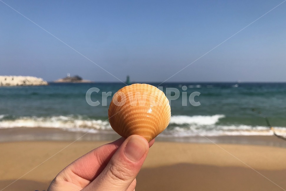 바다,속초,하늘,파도,풍경,조개,등대,손가락,편안함,해변,바다,beach,sea
