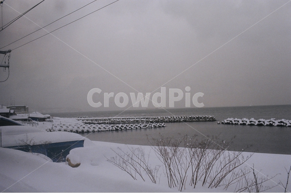 겨울,눈,풍경,필름카메라,삿포로,바다,시내,필카,겨울,계절,winter,season