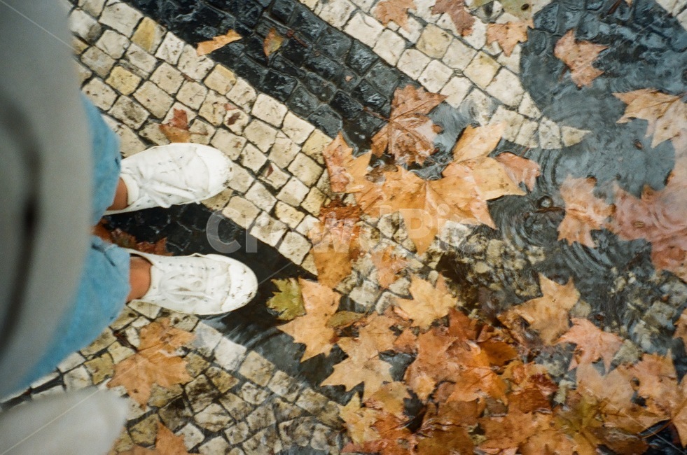 비오는날,낙엽,가을,비,포르투갈,리스본,rain,leaves,autumn,fall,portugal,lisbon,가을,계절,fall,autumn,season,사람,인물,인간,human,person,신체일부,몸,body,비,비오는날,rain,rainy,leaf,잎,plant,식물,walkway,보도,path,통로