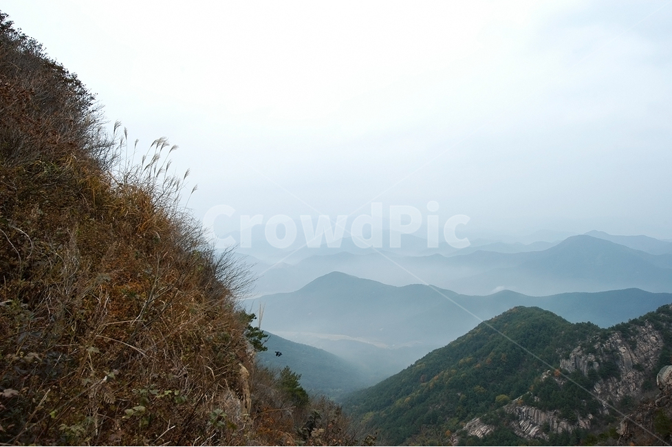 자연,산,억새,화왕산,구름,자연,풍경,nature,landscape,한국자연풍경,한국자연경관,korea nature landscape,outdoors,옥외,mountain