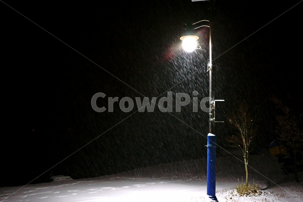 눈,눈내리는밤,년말,불빛,가로등,풍경,감성,겨울,계절,winter,season,야경,밤,풍경,nightscape,night,landscape