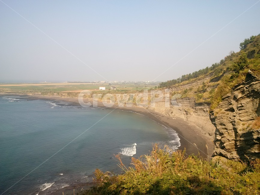자연,바다,식물,nature,plant,sea