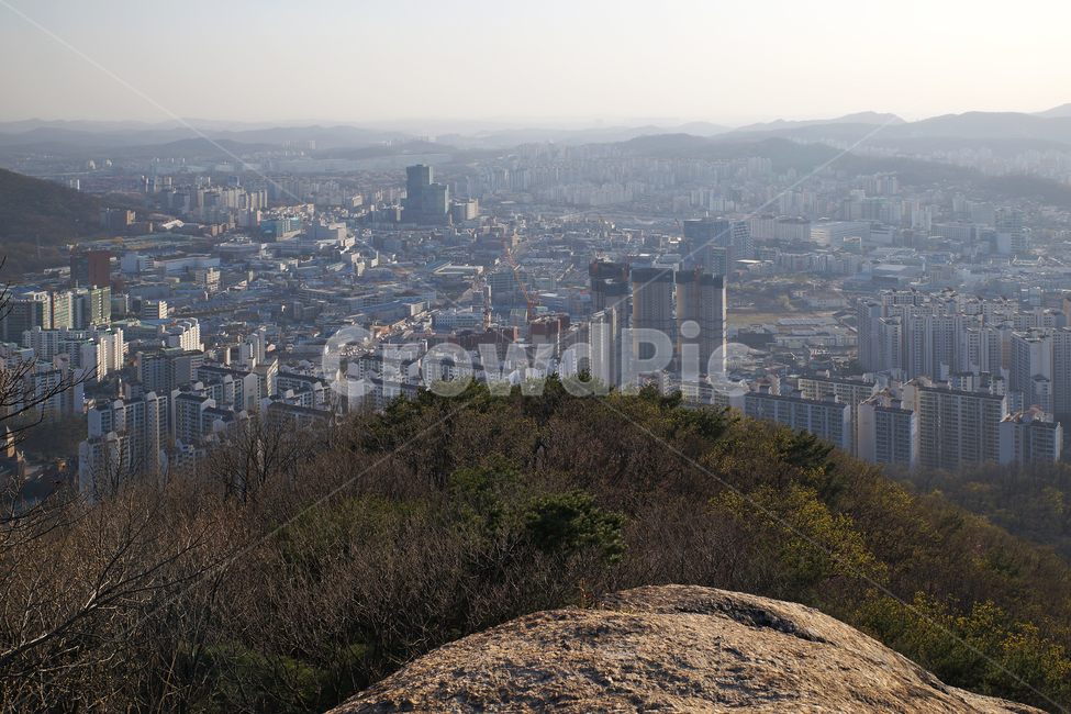 모락산,의왕시,경기도,안양시,도심풍경,건물,군포시