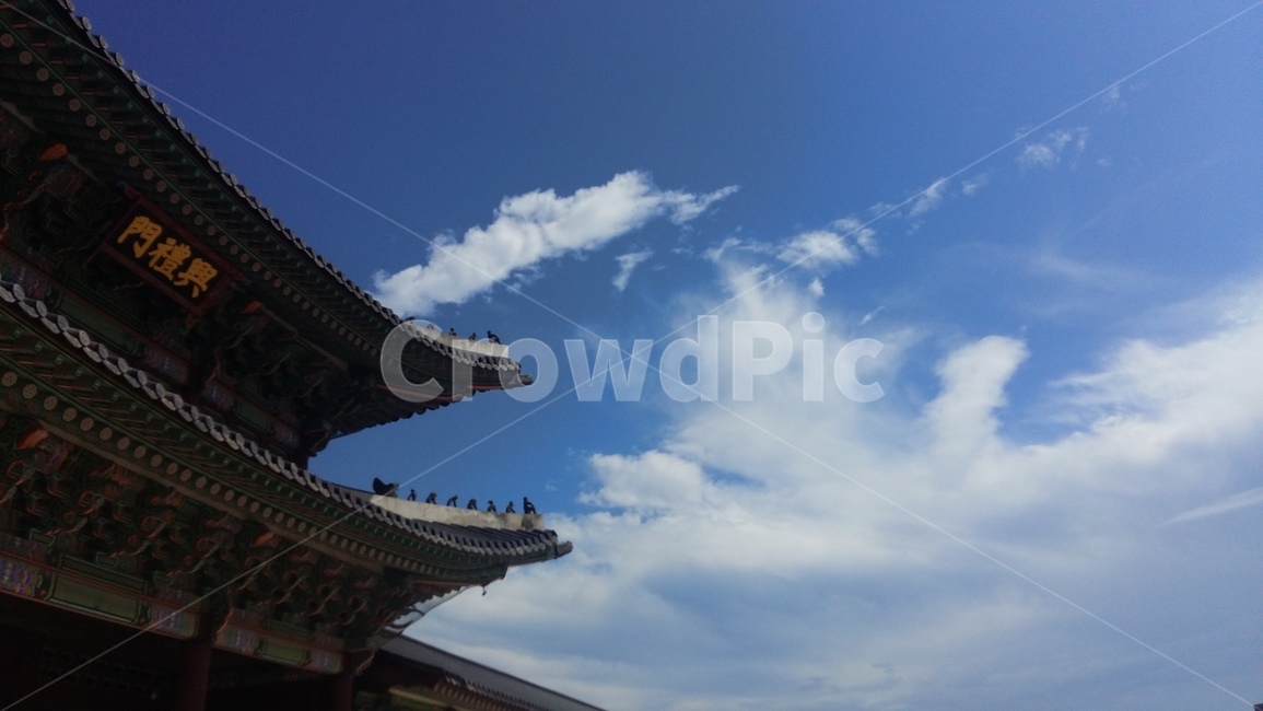 Ridiculous,roof,Gyeongbokgung,Palace,tile