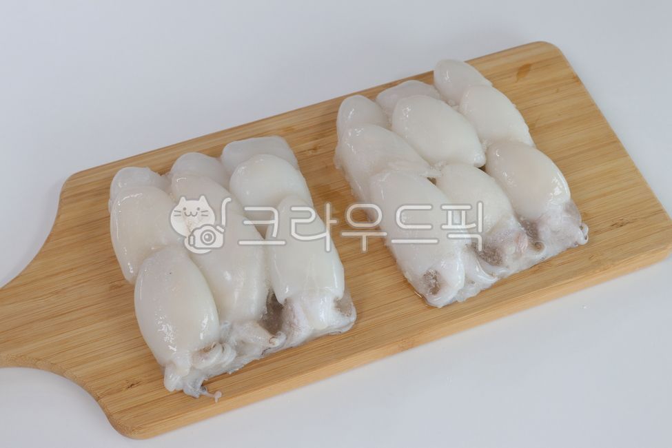 갑오징어,오징어,미니오징어,베이비이까,food,seafood
