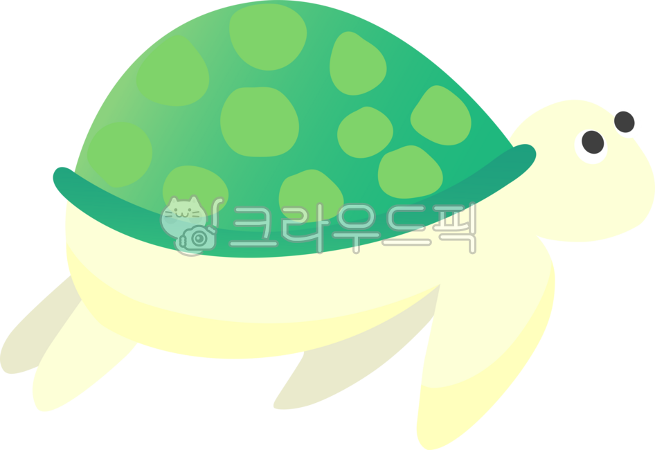 거북이,바다생물,자라,바닷속,바다,거북이캐릭터,자라캐릭터,바다동물