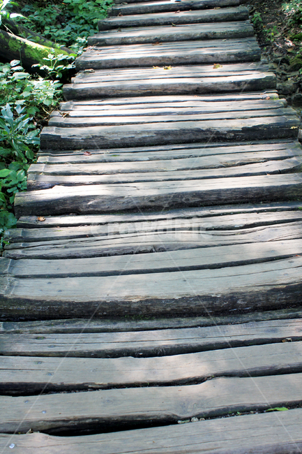 계단,나무계단,길,숲속길,오르막계단,자연,풍경,nature,landscape,staircase,building,건물,boardwalk,산책로,bridge,다리