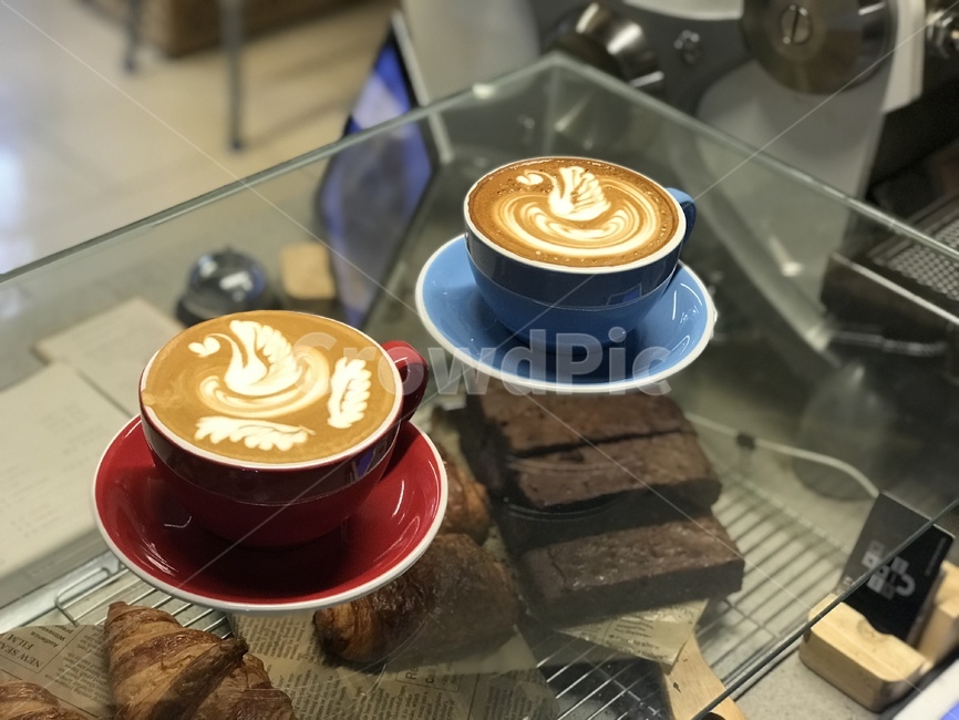 커피,라떼아트,커피아트,백조,카페라떼,coffee,latteart,coffeeart,swan,cafelatte,음료수,drink,beverage,커피,카페,coffee,cafe