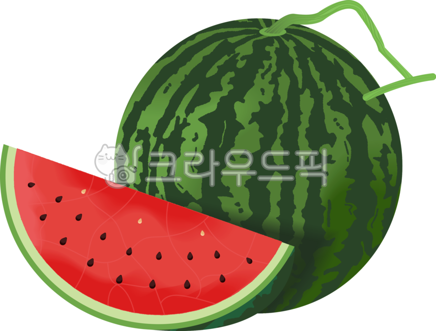 그래픽,일러스트,png,여름,여름과일,summer,빨간색,초록색,food,음식,fruit,과일,watermelon,수박,조각,씨앗,수박씨,씨,슬라이스,꼭지