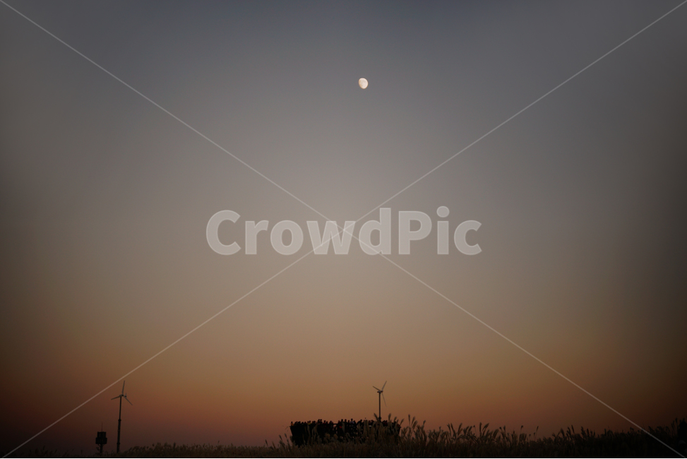 달,전망대,저녁,노을,억새밭,풍경,하늘공원,자연,landscape,flamegrass,fall,sunset,moon,nature,korea,자연,풍경,nature,landscape,outdoors,옥외