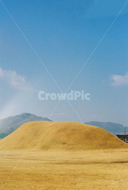 경주,무덤,필름사진,역사,왕