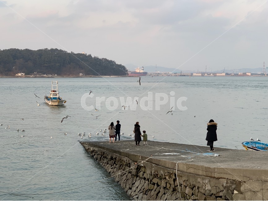 항구,outdoors,옥외,야외,자연,nature,하늘,sky,구름,cloud,바다,sea,ocean,물,water,shoreline,해안선,노을,sutset,여행,travel,trip,tour,여행자,tourist,모험,adventure,인물,사람,human,person,female,woman,male,man,boat,보트,배,선박,크루즈,갈매기,seagull