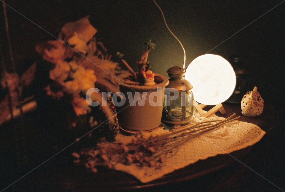 조명,장식,인테리어,장식물,flower,필름사진,감성사진