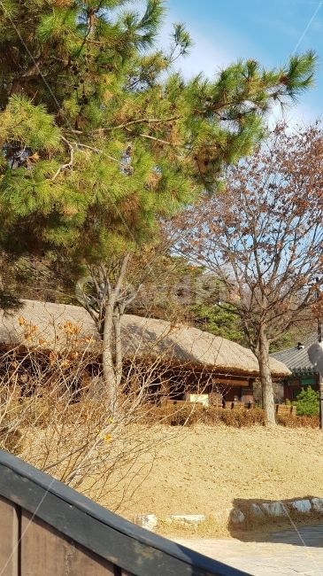 초가삼간,전통적인,한국적인,우리나라의,집,건축,건물,초가집,가을느낌,한국전통,한국문화,korean traditional,korean culture,건축물,건물외관,exterior,building,structure,architecture,construction