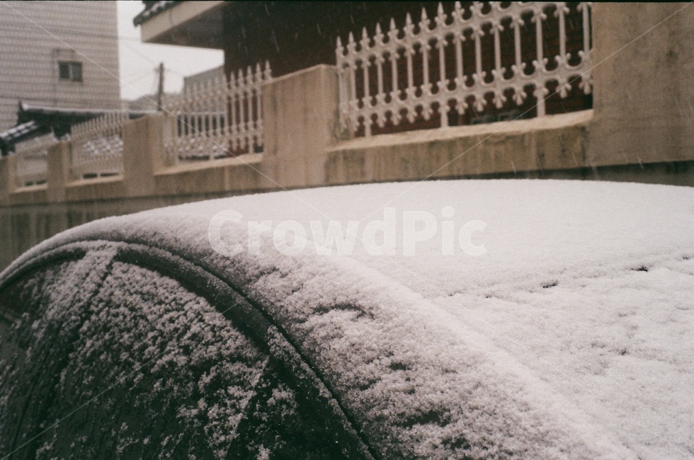 첫눈,눈,겨울,폭설,snow,winter
