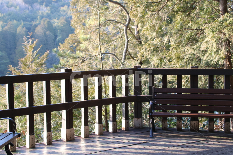 자연,숲,나무,길,쉼표,자연,풍경,nature,landscape,bench,벤치,railing,난간