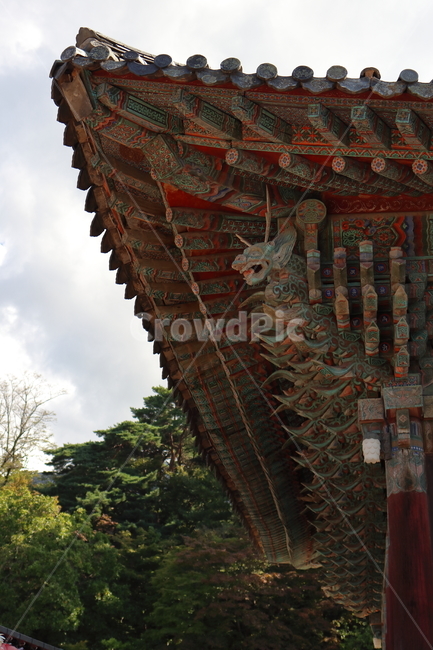처마,절,기와,용,불교,전통,조각,단청,건물,건축물,building,architecture,temple,신전,목룡,하늘
