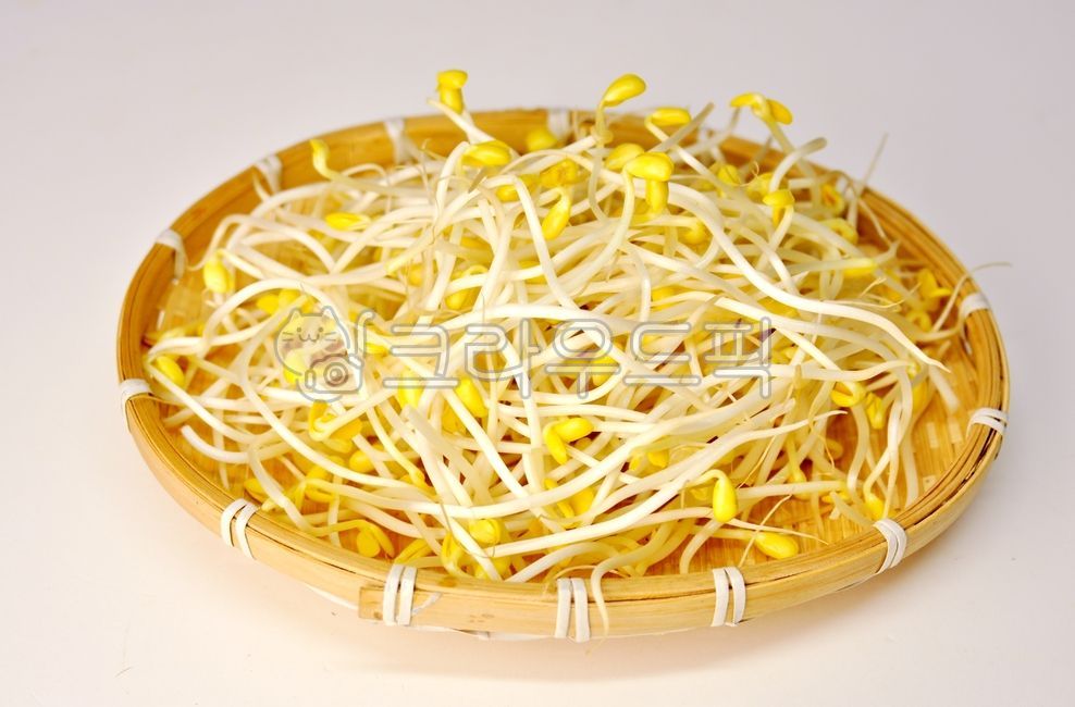 콩나물,채소,야채,콩,식재료,요리재료,음식,새싹,food,vegetable,beansprout