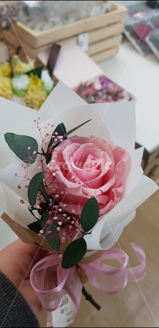 장미,조화,한송이,핑크,프리저브드,꽃,flower,기념일,축하,anniversary,congratulation,celebrate,celebration