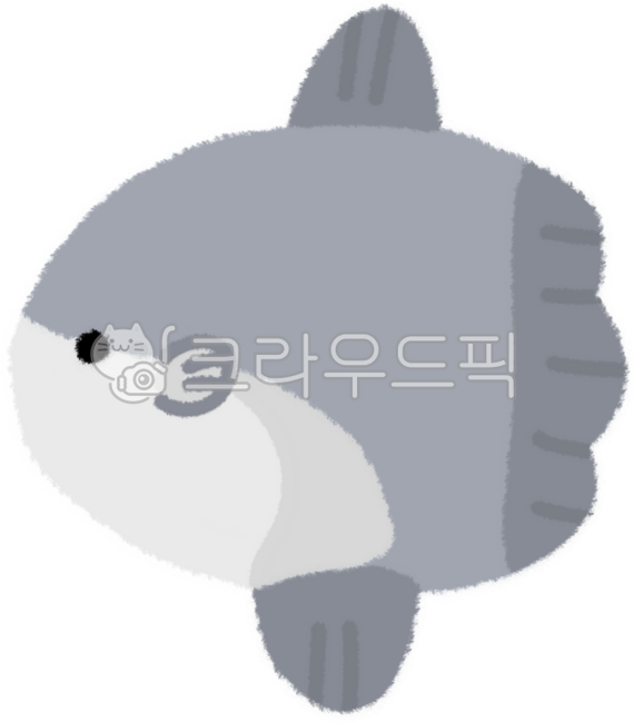 물고기,해수어,바다,캐릭터,물고기캐릭터,동물,그림,생물,해양생물,해양,바닷가,해변,취미,일러스트,열대어,개복치