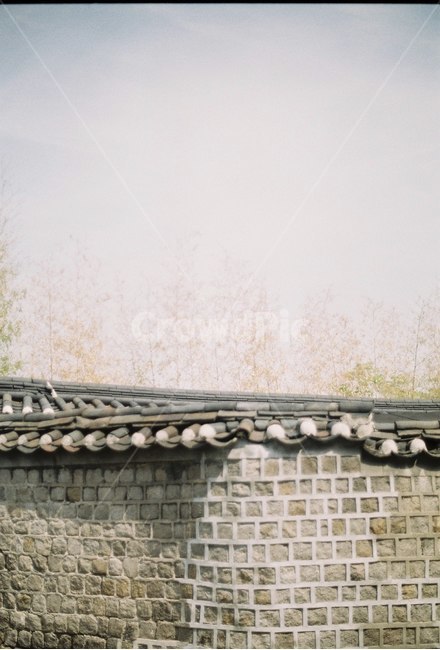 한옥,전통기와,기와집,한국전통,기와,창덕궁,한국전통,한국문화,korean traditional,korean culture,건축물,건물외관,exterior,building,structure,architecture,construction