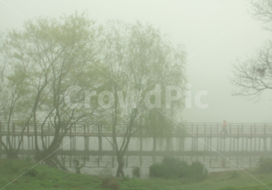 전북,군산,은파,은파호수공원,DSLR,안개,자연,풍경,nature,landscape,감성,sensible,feeling,weather,날씨,outdoors,옥외,fog,mist