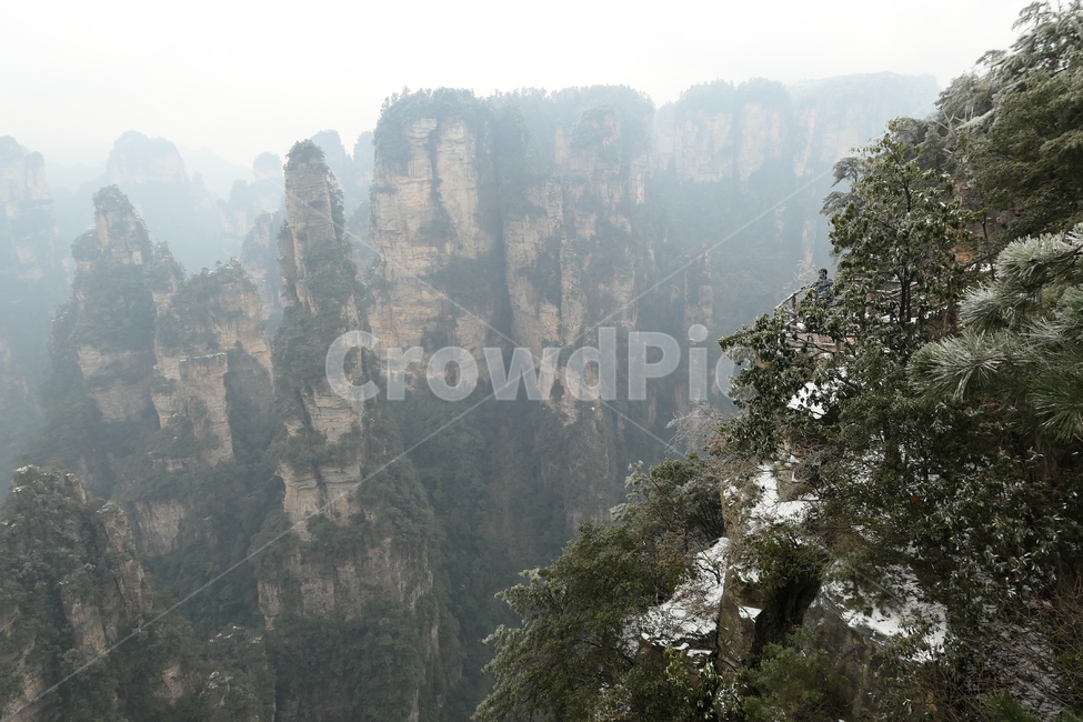 장가계,후난성,협곡,계곡,돌기둥,자연,풍경,nature,landscape,해외,외국,세계,foreign,oversea,world,세계자연풍경,해외자연풍경,외국자연풍경,world nature landscape,outdoors,옥외