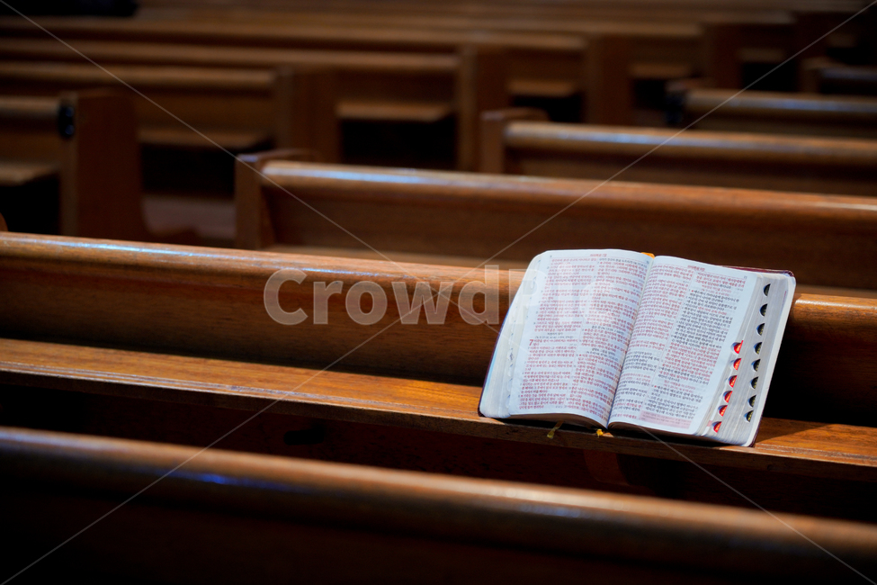 성경,부활절,책,마태복음,교회,종교,의자,찬양,기도,말씀,묵상,독서,신학,신앙심,기독교,예배,비어있는,실내,종교,신앙,religion,belief,faith