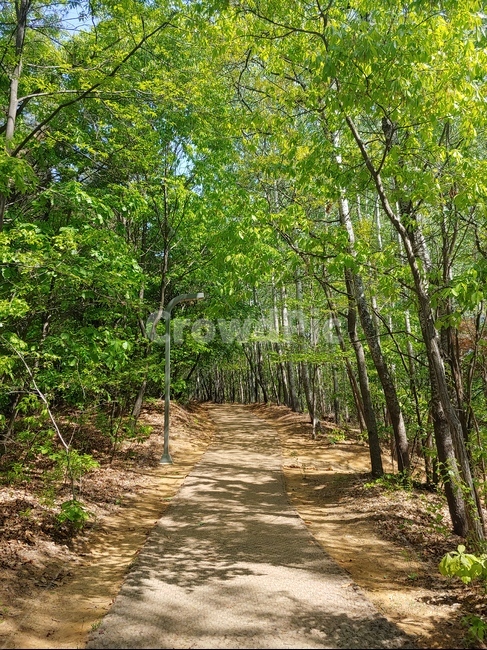 산길,산책로,올레길,둘레길,등산,등산로