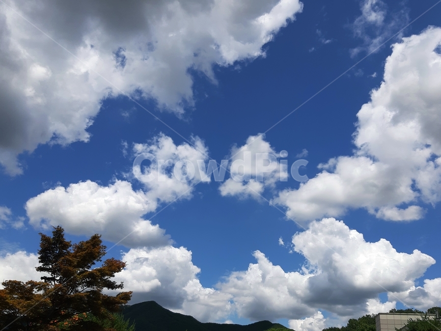 하늘,파랑,구름,하늘색,흰색,파란하늘,높은하늘,미세먼지없는하늘